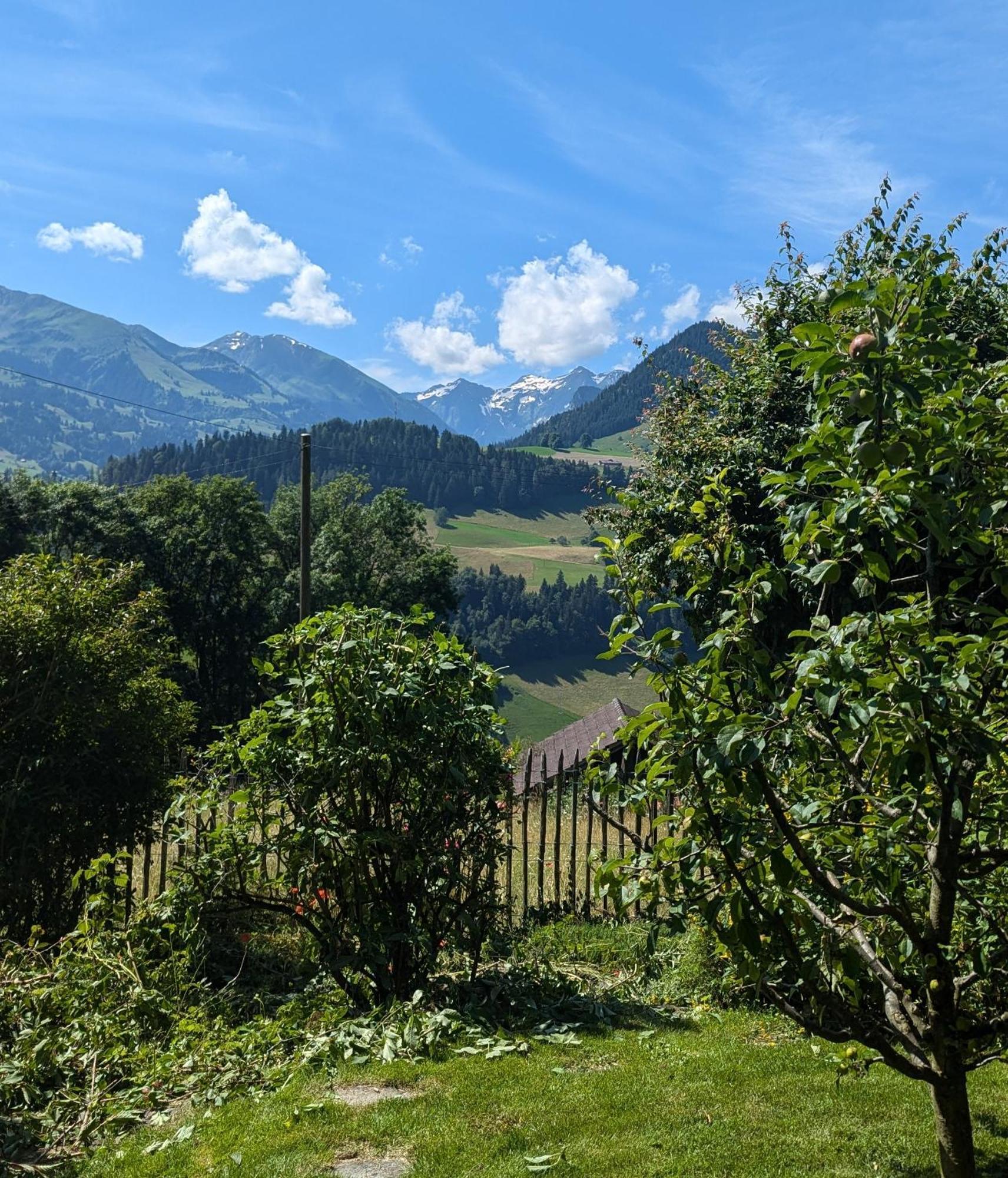 Swiss Mountain-Valley View Lodge Erlenbach im Simmental Kültér fotó