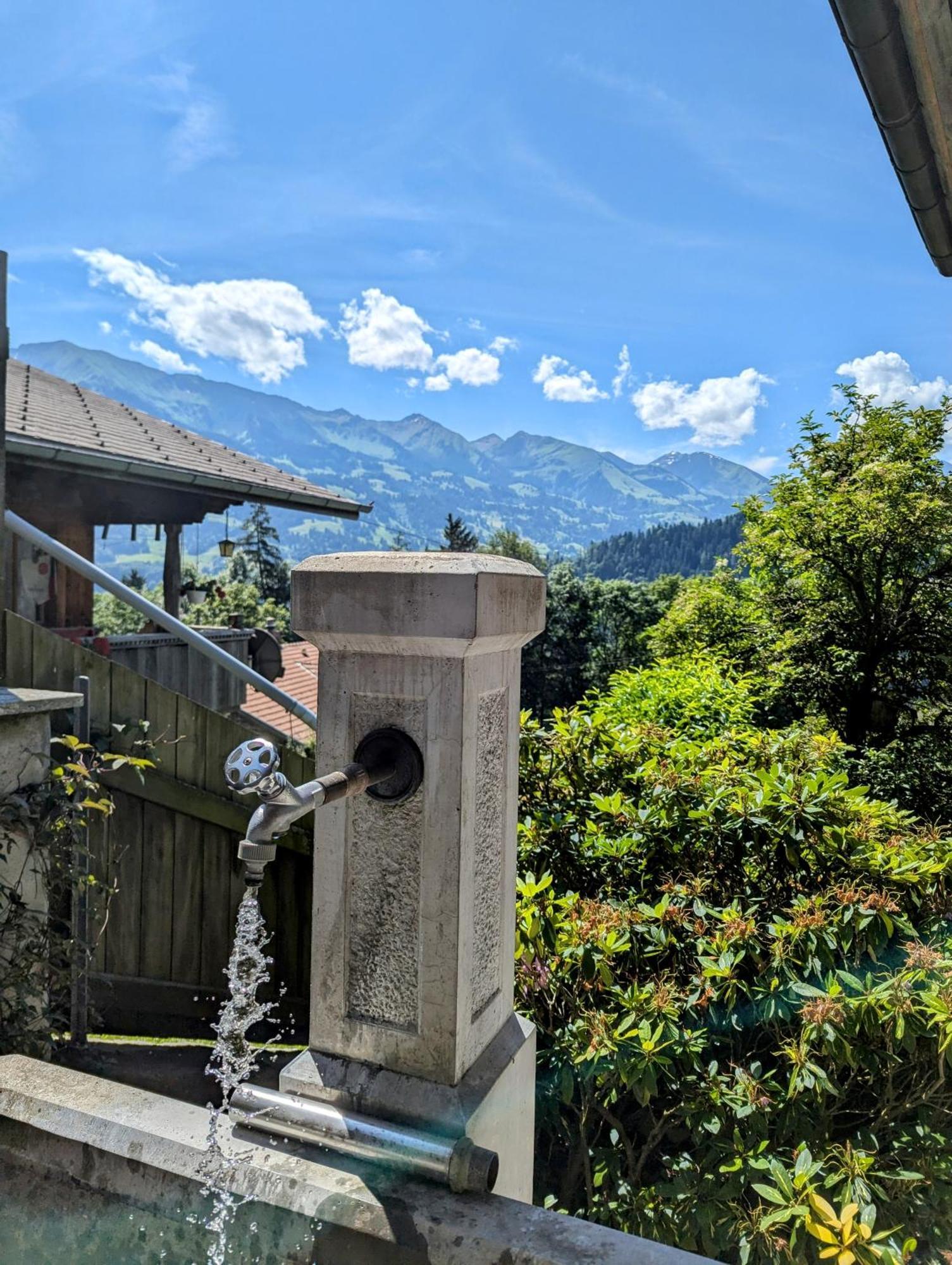 Swiss Mountain-Valley View Lodge Erlenbach im Simmental Kültér fotó