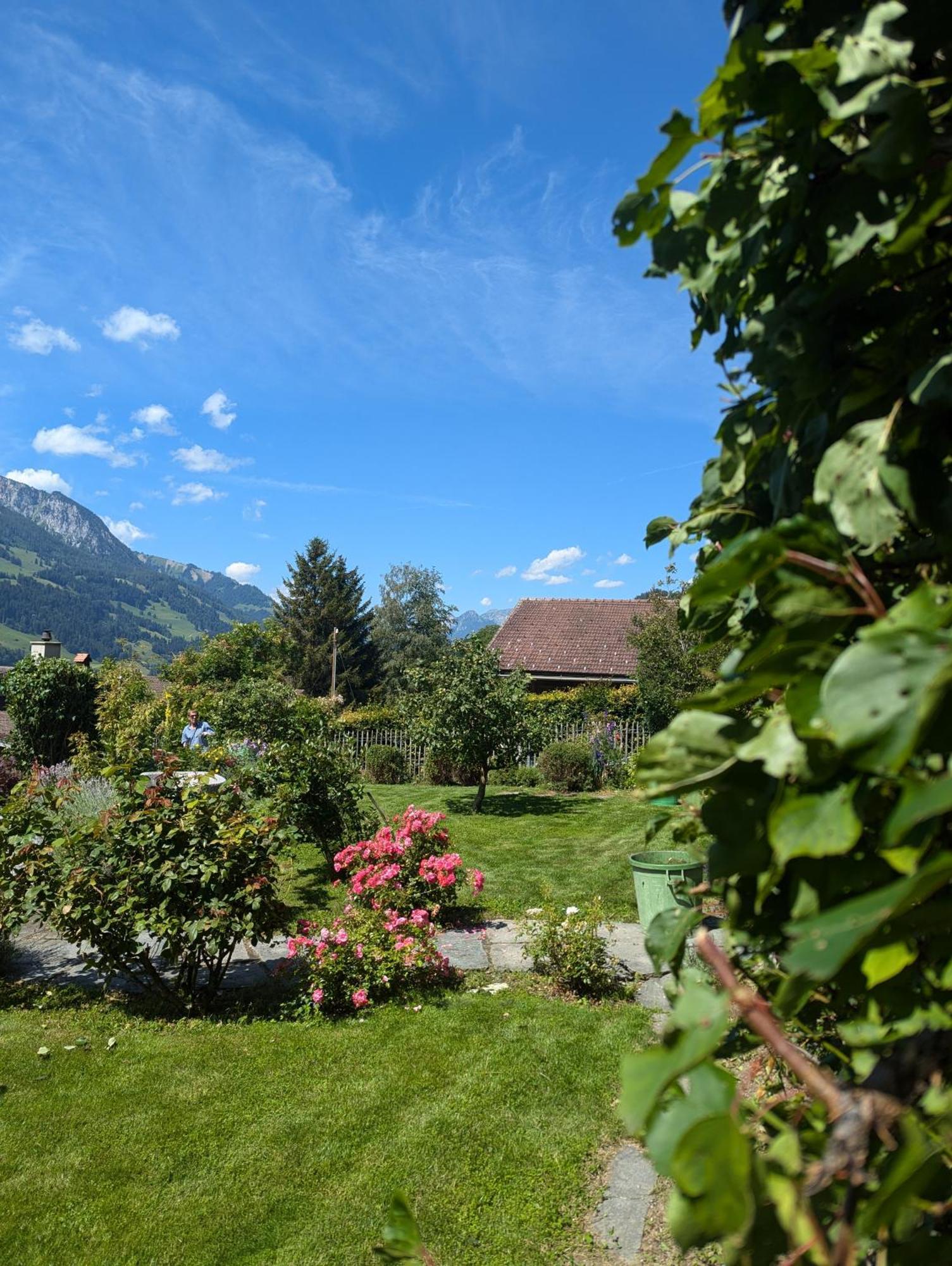 Swiss Mountain-Valley View Lodge Erlenbach im Simmental Kültér fotó