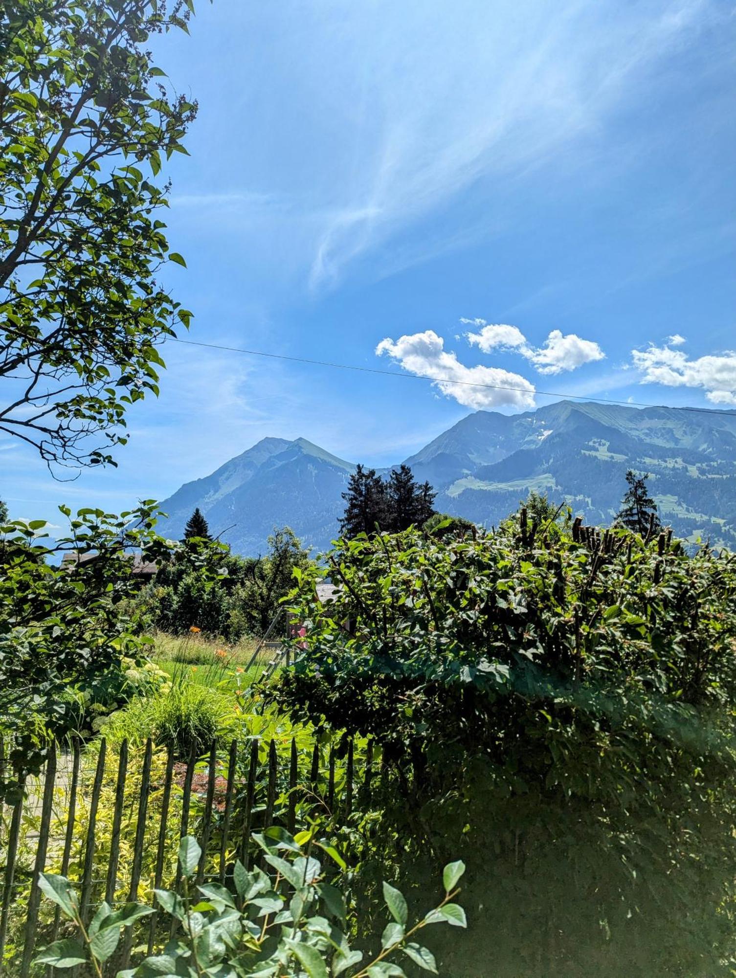Swiss Mountain-Valley View Lodge Erlenbach im Simmental Kültér fotó