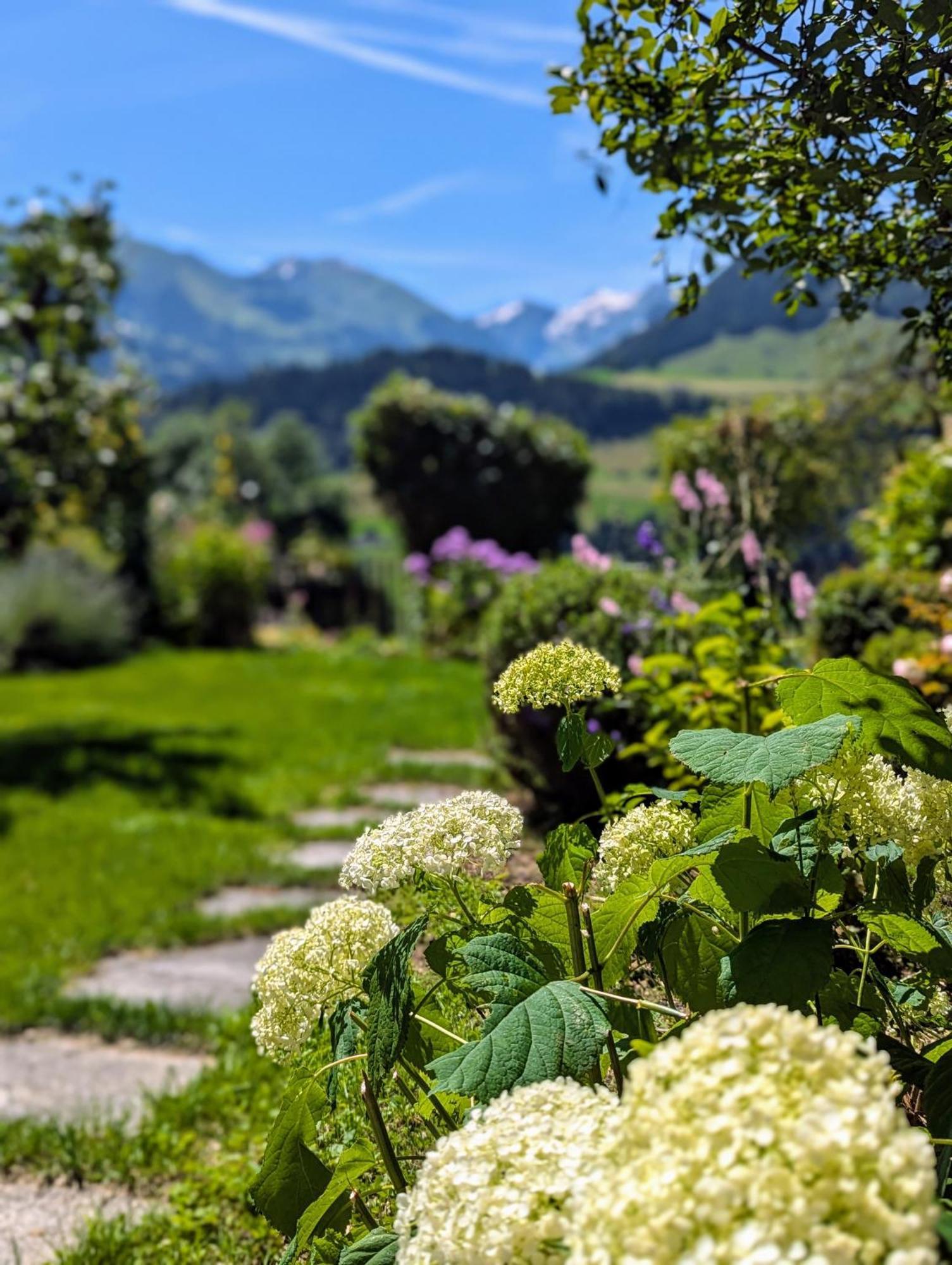 Swiss Mountain-Valley View Lodge Erlenbach im Simmental Kültér fotó