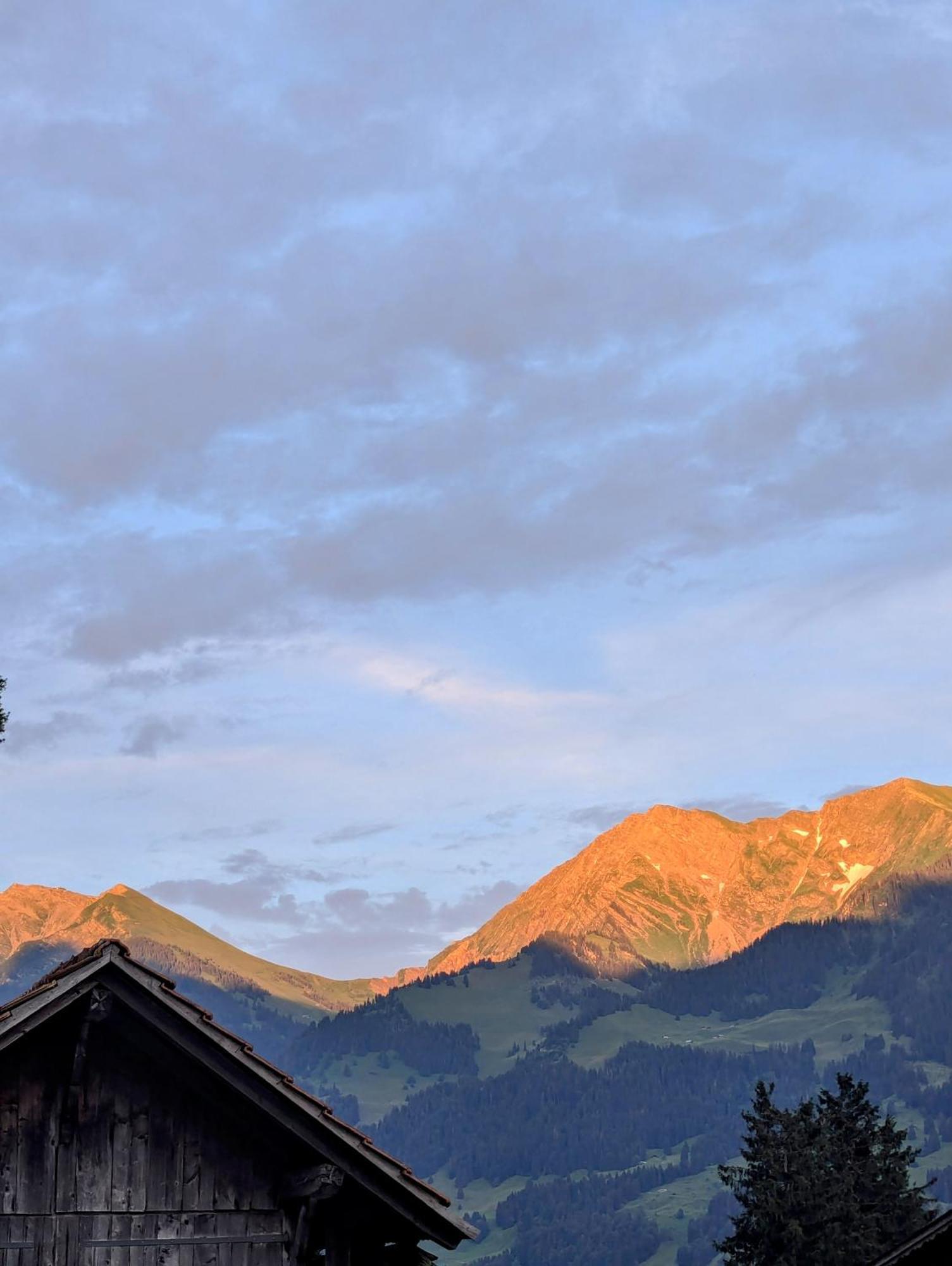 Swiss Mountain-Valley View Lodge Erlenbach im Simmental Kültér fotó