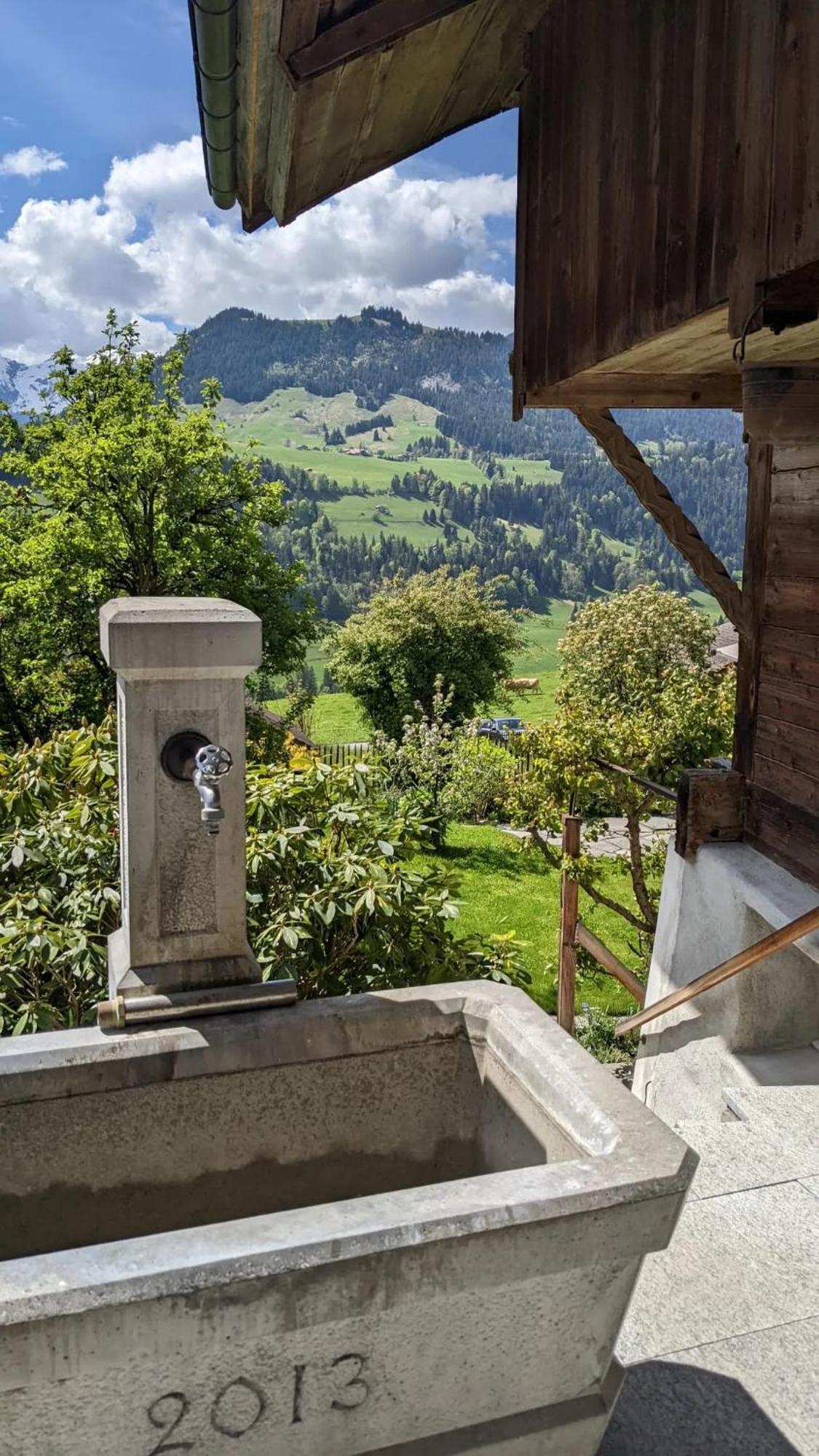 Swiss Mountain-Valley View Lodge Erlenbach im Simmental Kültér fotó