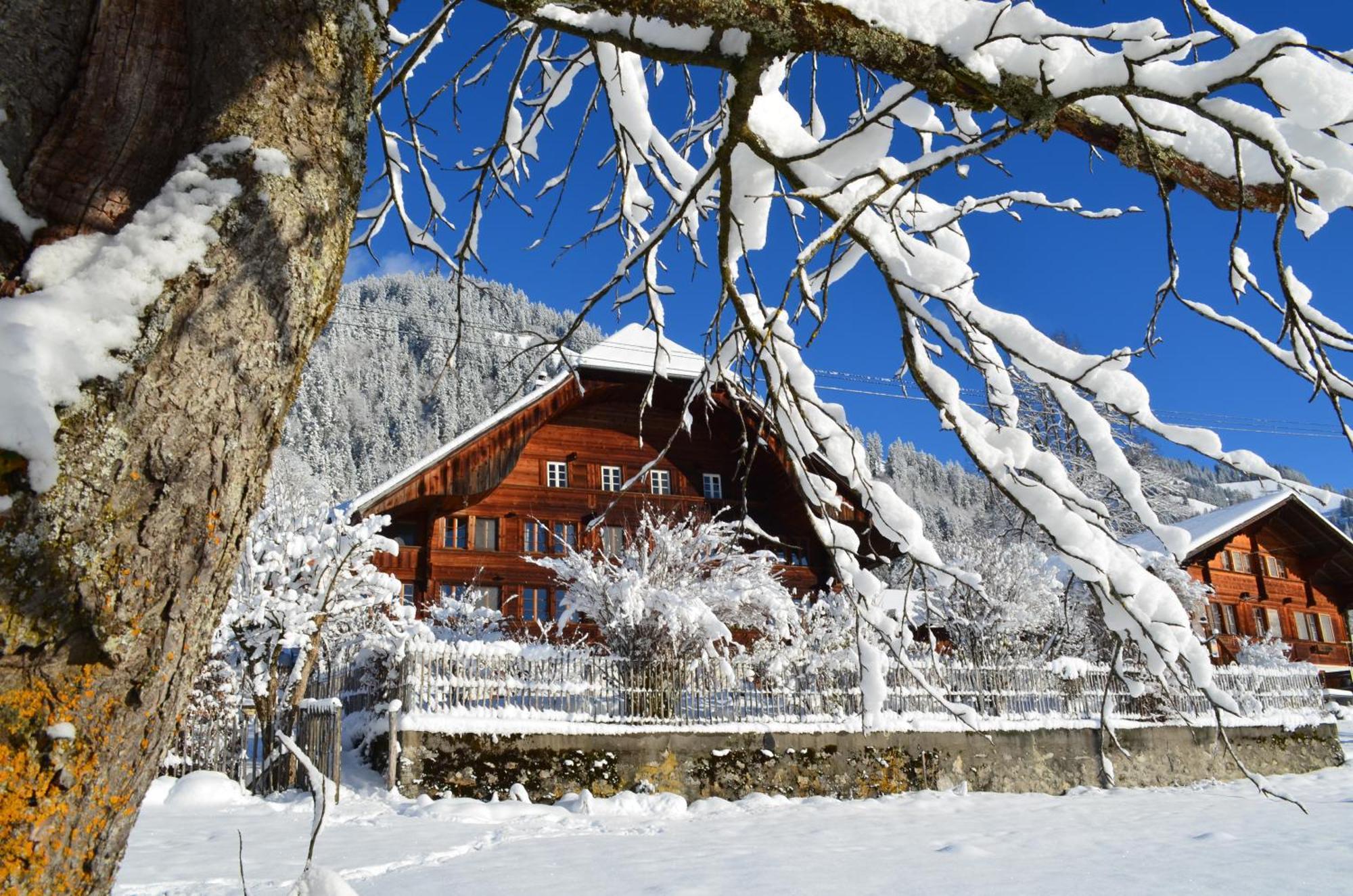 Swiss Mountain-Valley View Lodge Erlenbach im Simmental Kültér fotó